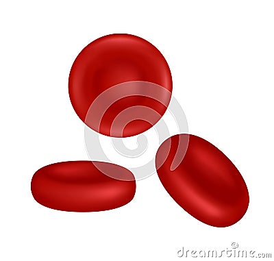 Vector illustration of red blood cells or erythrocytes Vector Illustration